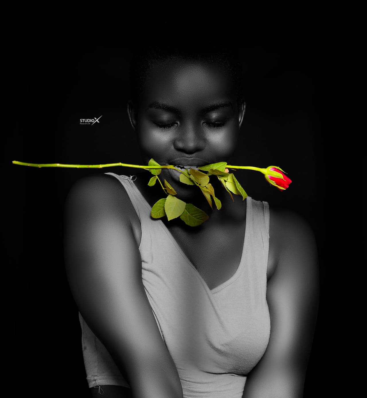 Rose Monochrome Art